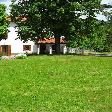 Apartmani Bartulasi Roč Стая снимка