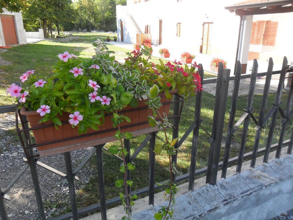 Apartmani Bartulasi Roč Екстериор снимка